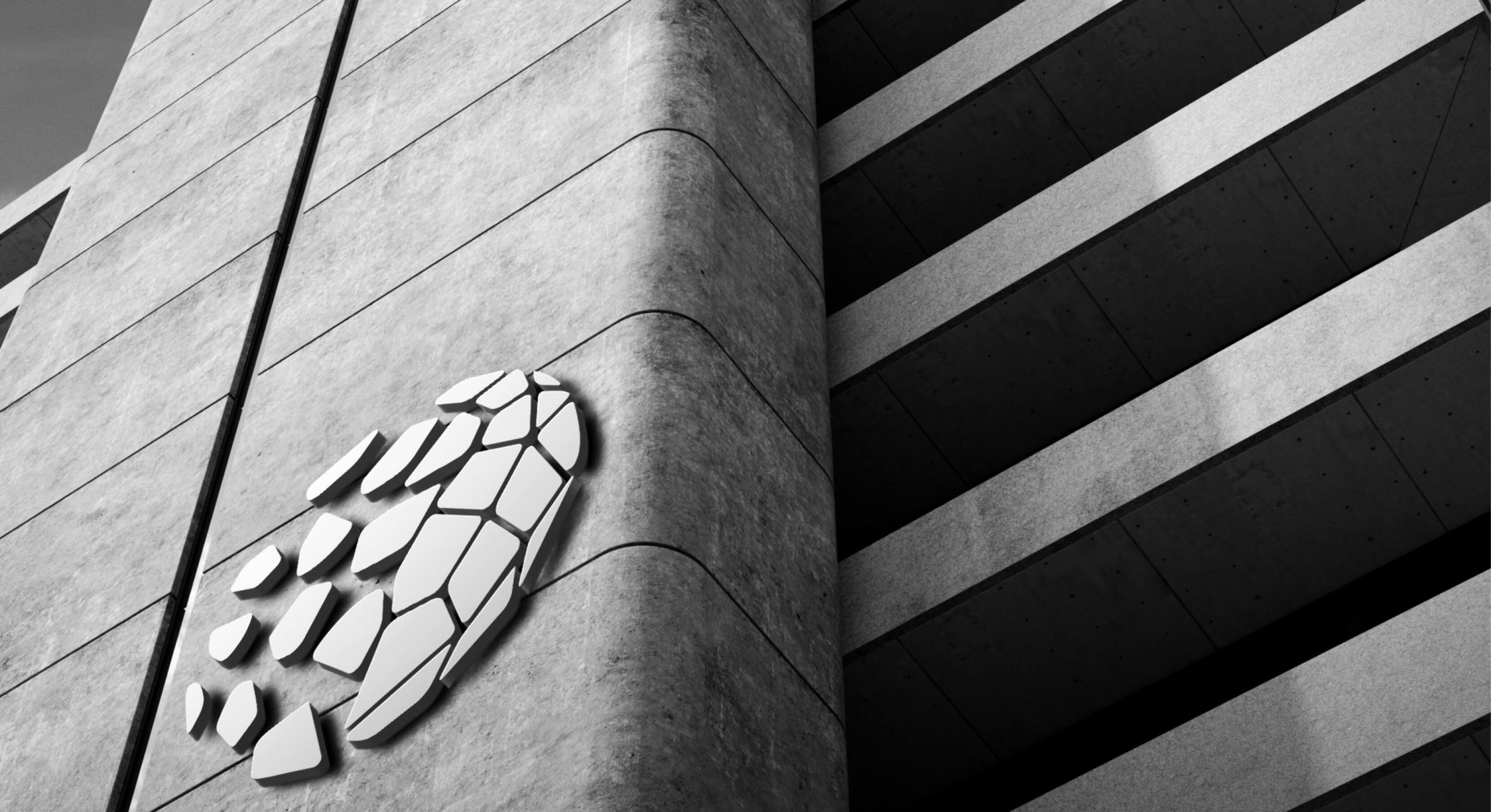 PolyNovo Branding design concept by MDM design.