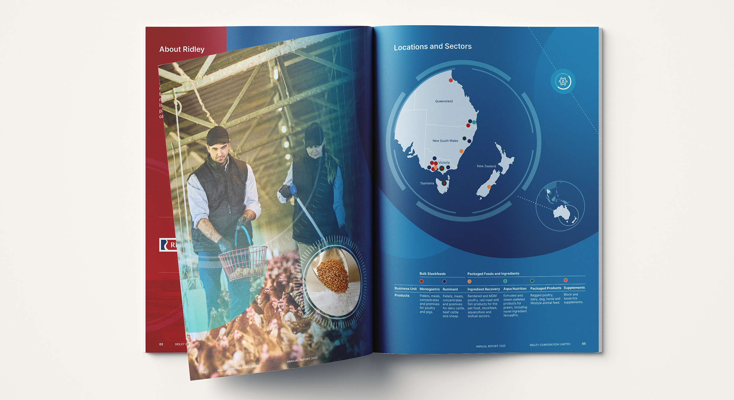 Ridley Corporation Annual report 2025 infographics by MDM design.