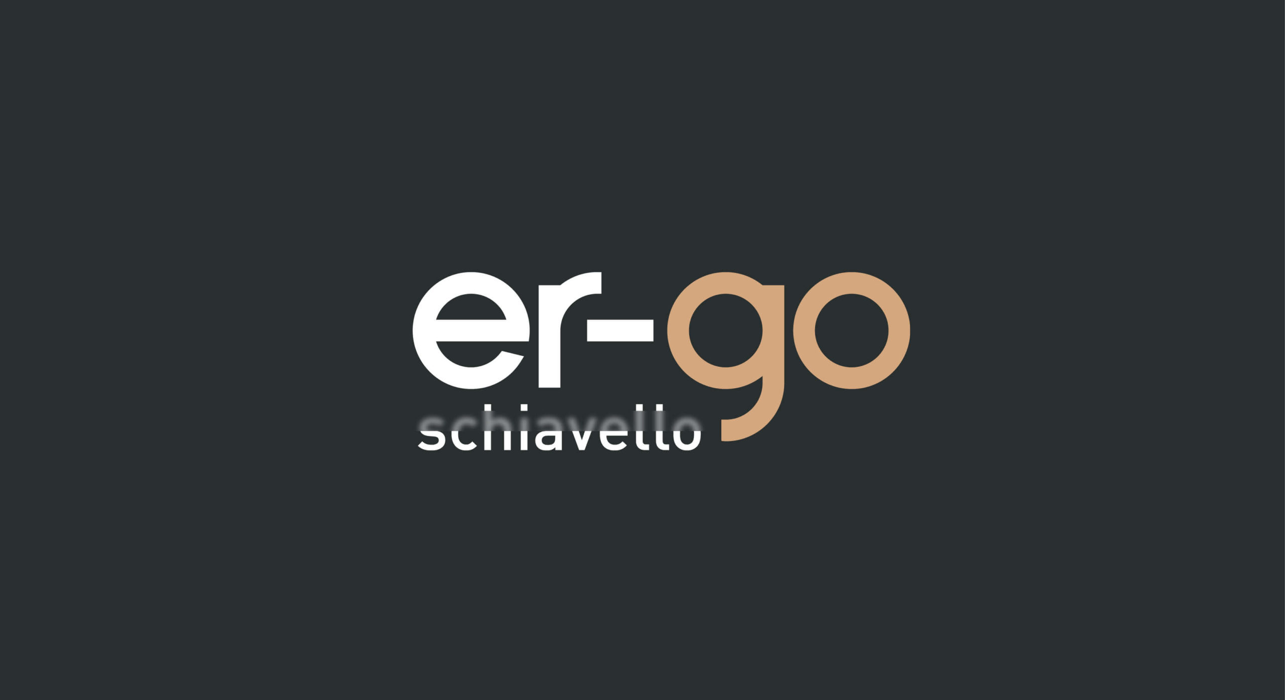 er-go Schiavello Branding design by MDM design.