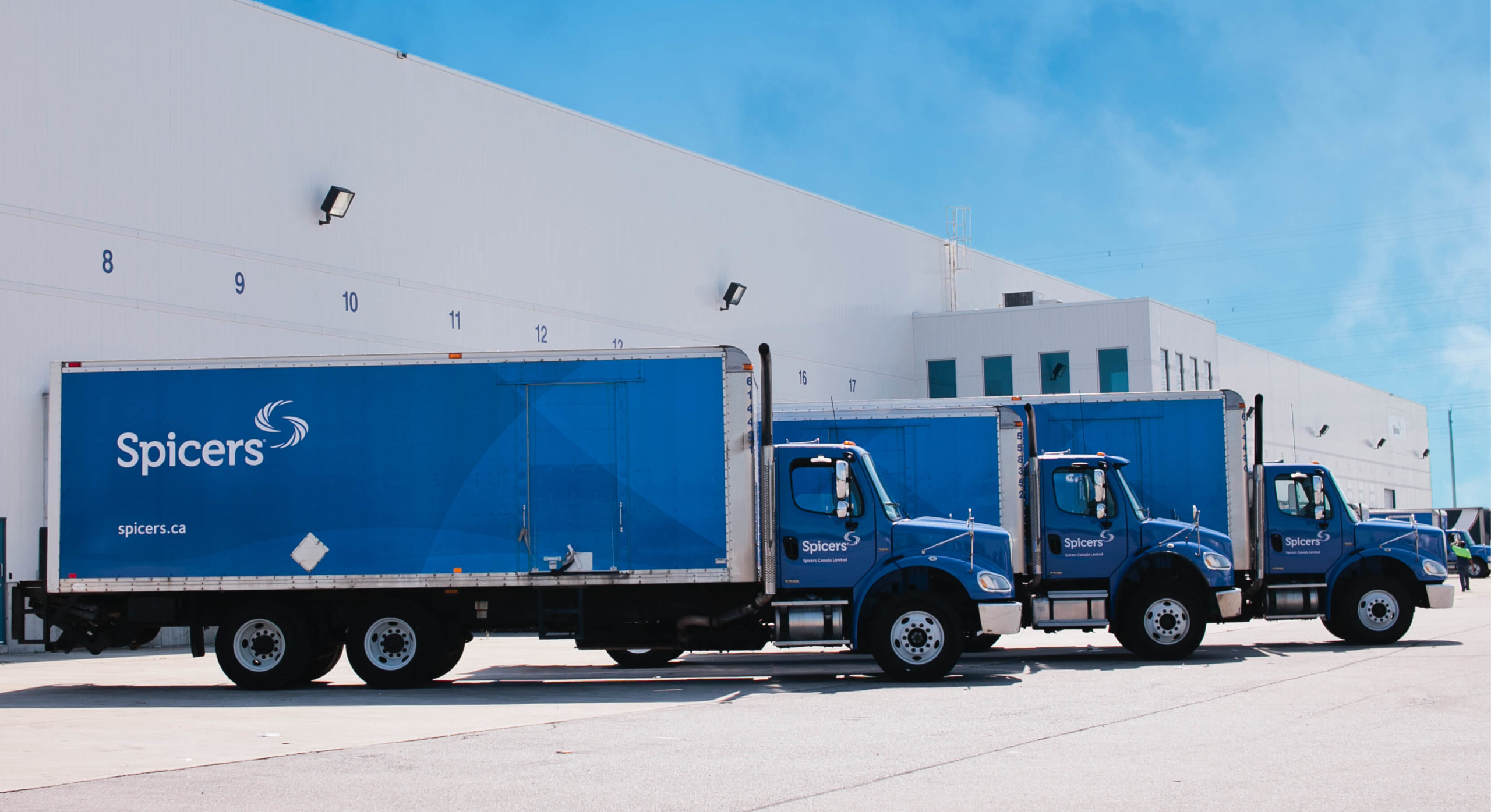 Spices Branding design brand identity by MDM design.